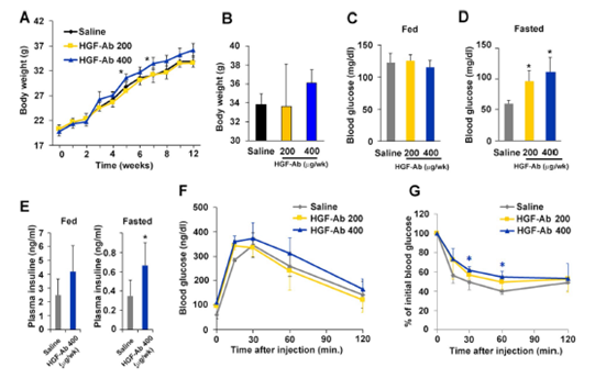 前沿hgf对大鼠食源性肥胖和减轻胰岛素抵抗有哪些作用